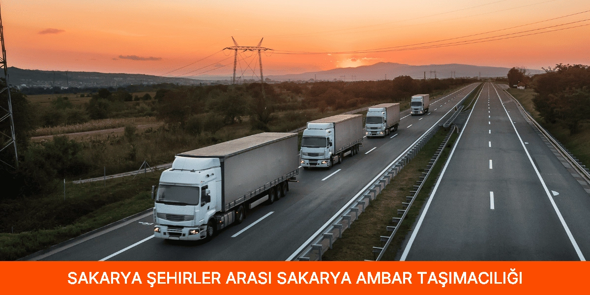 Şehirler Arası Sakarya Ambar Taşımacılığı